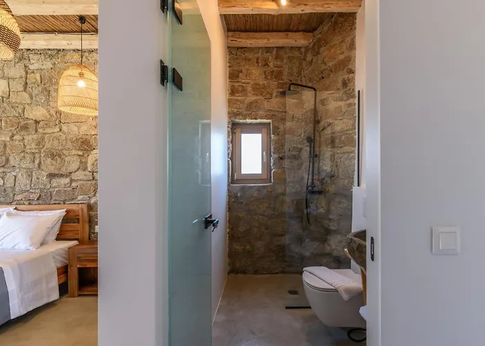 Elements Mykonos Vila *